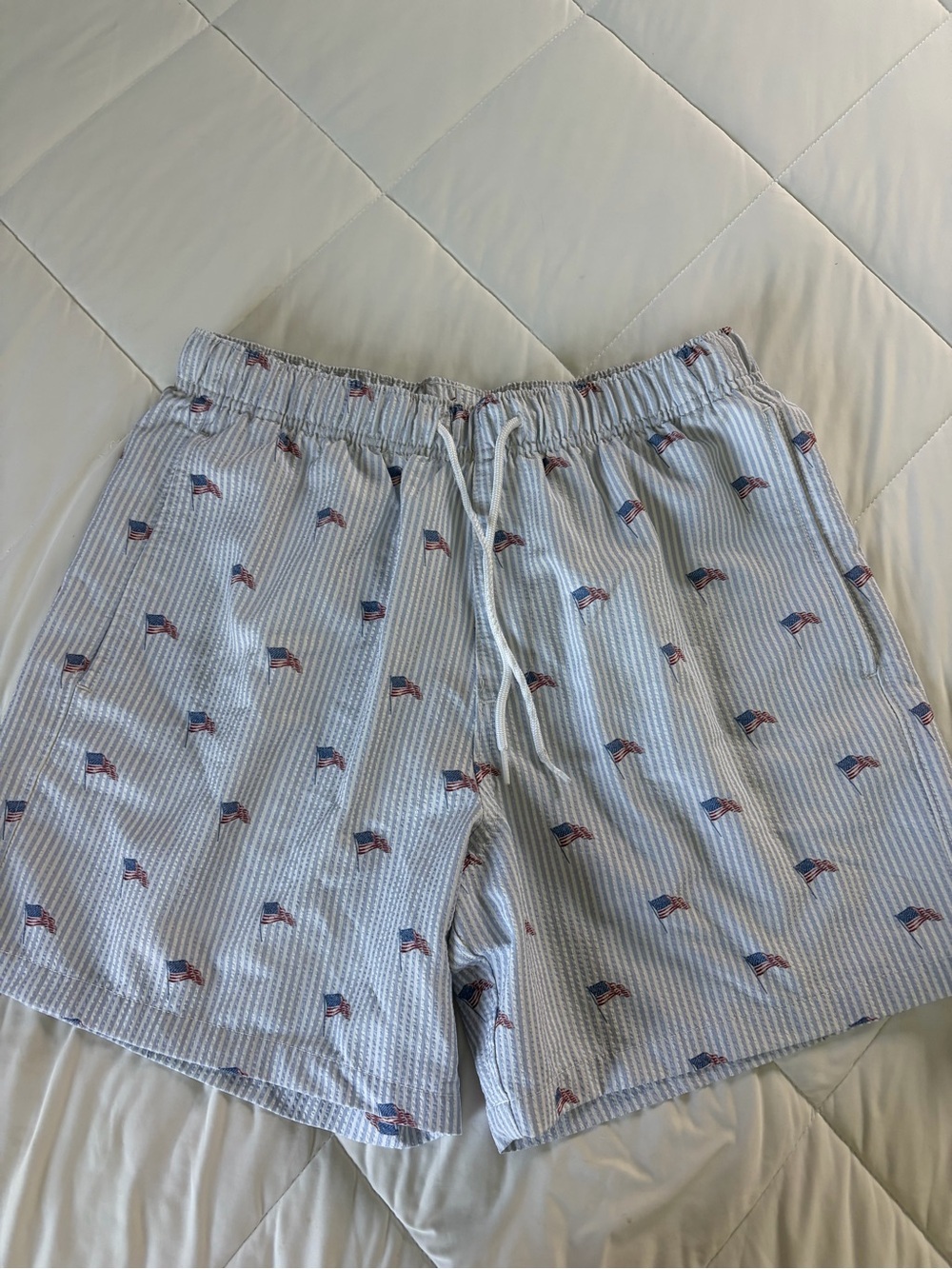 Hollister Light Blue & White Seersucker Swim Trunks with Flag Print